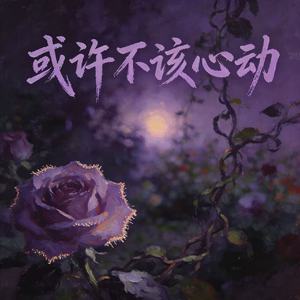或许不该心动