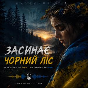 Засинає чорний ліс