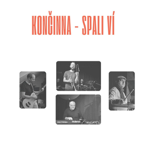 Spali Ví