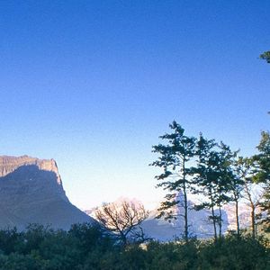 想见你想见你想见你