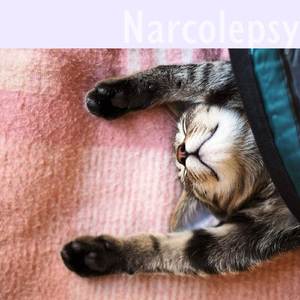 Narcolepsy