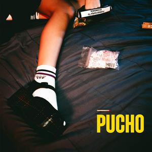 Pucho