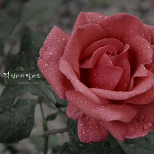 걱정하지 말아요