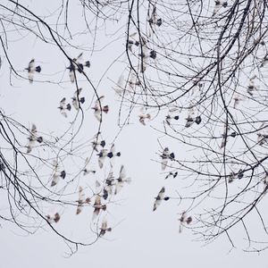 一阕荒唐