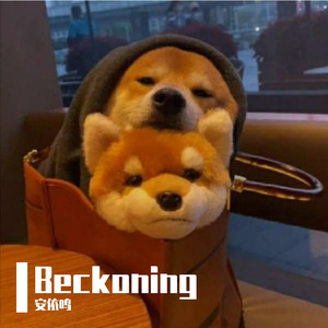 沉沦与遐想x花花公子