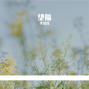 伟大的祖国-整曲