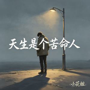 天生是个苦命人