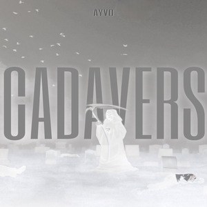 Cadavers