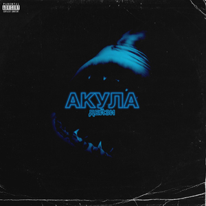 Акула
