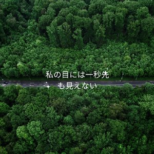 私の目には一秒先も見えない