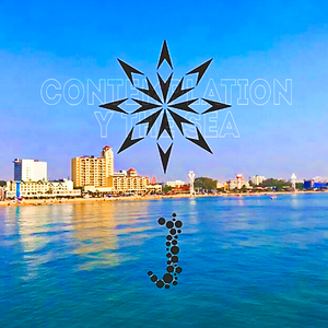 Contemplation by the Sea