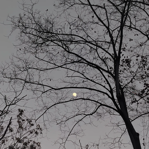 20240123_163026转换格式