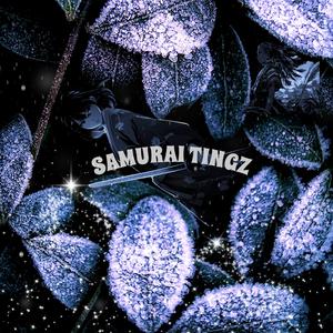SAMURAI TINGZ