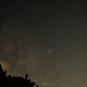 采茶纪（翻自 双笙）