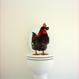 Chicken Distriken