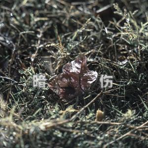 暗伤（ Original Mix）