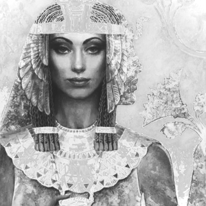 蓝莲花-Blue Lotus