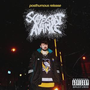 47 (feat. D.A.R.C, LxngCat, Shoshin Noel, RONINCLAN & Kv$hnoodle)