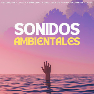 Serenata De Lluvia Para Sesiones De Estudio En La Ducha