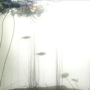 teller~四月はまだ終わらない~