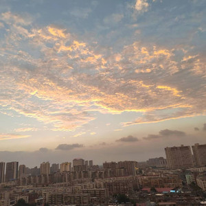 悬崖旁盛开的花