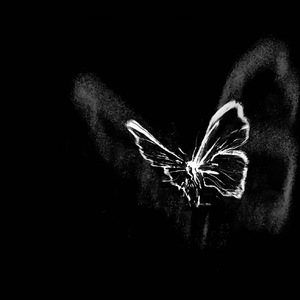 黑蝴蝶(prod.by Keerad)