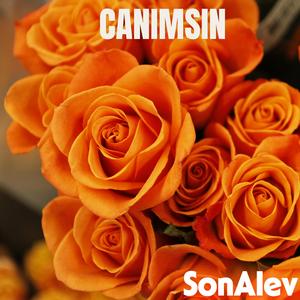 Canımsın