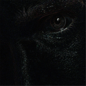 Welcome to Jillanation