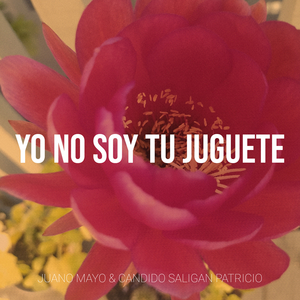 Yo No Soy Tu Juguete