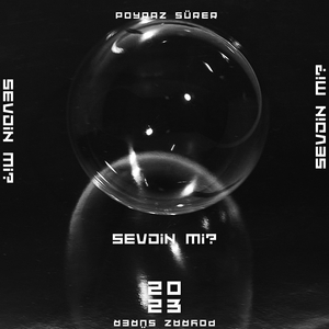 Sevdin Mi?