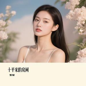 十平米的房间 (Remix)