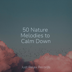 Journey of Self Discovery