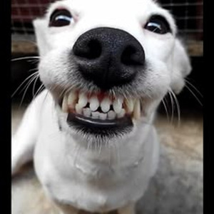 Baddest Girl In Town (slowed)