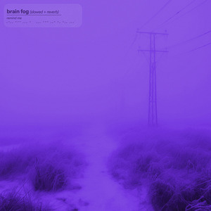 Brain Fog (Slowed + Reverb)