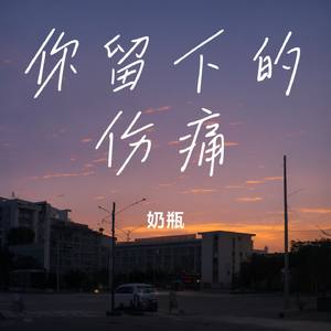 你留下的伤痛（奶瓶 Remix）