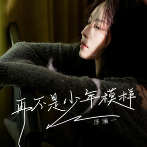 再不是少年模样 (DJ九零版伴奏)