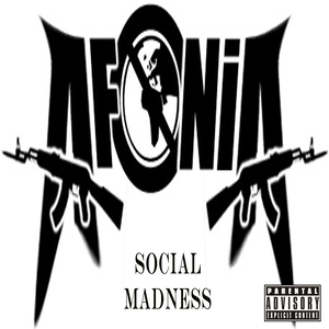 Social Madness