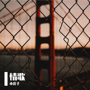 情歌（remix）