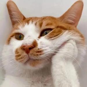 世界上的另一个我（cover 阿肆/郭采洁）