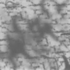 Recordings from Aalst, Leiden & Paris