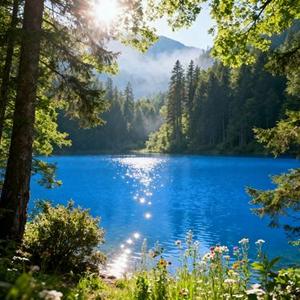 可惜春风不懂我伤悲 (Cover 万能和弦)