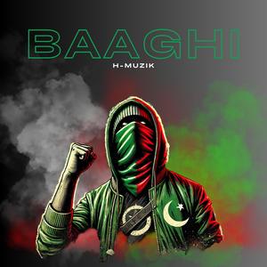 Baaghi