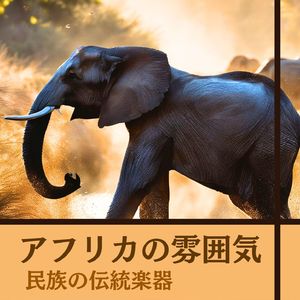 民族の伝統楽器