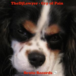 Cry Of Pain (Radio Edit)