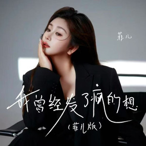 我曾经发了疯的想 (菲儿版)