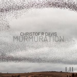 Murmuration