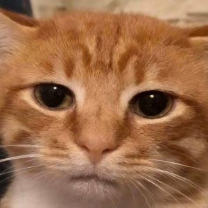 承诺难实现 你我难相见