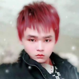 每天都在梦里相见 伴奏