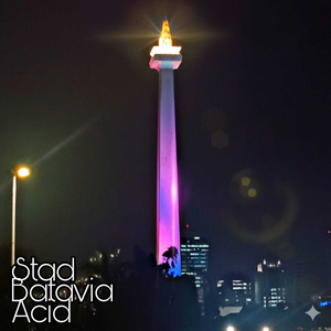 Stad Batavia Acid