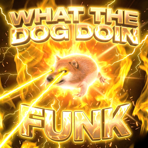 WHAT THE DOG DOIN FUNK